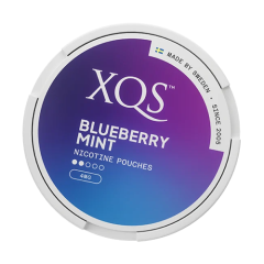 XQS Blueberry Mint 4mg